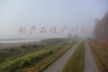 新产品推广计划书怎么写(有机肥项目商业计划书)