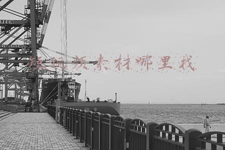 音乐短视频素材哪里找(6个高质量的音频素材网站，每一个都是精挑细选，请大家低调使用)
