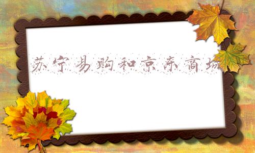 苏宁易购和京东商城