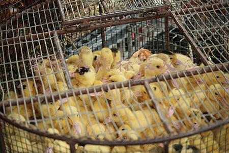 笔记本鼠标没反应