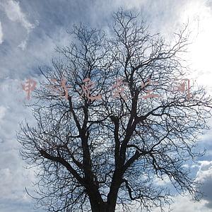 空间注册申请(安阳考有限空间作业证要什么资料报考要求攻略收下)