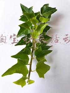 淘宝秒杀活动火爆(网友吐槽今年\u0026#34;双11\u0026#34;：淘宝\u0026#34;买崩\u0026#34;，促销短信轰炸、规则仍旧看不懂)