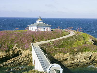 日本的二手网站有哪些(日本二手平台入驻淘宝、闲鱼，“海淘”还有多远？)