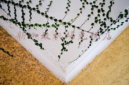 新加坡机场免税店买什么划算(2020最新版！新加坡樟宜机场这15家免税店值得逛)