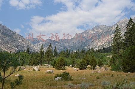 周大福珍珠项链
