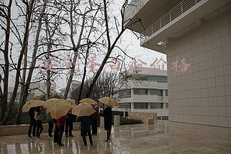 安利蛋白粉价格