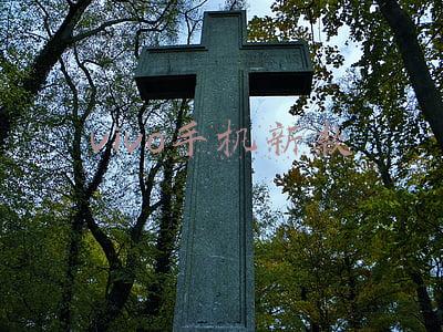 vivo手机新款