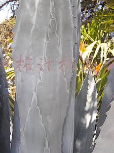 九阳榨汁机官方网站(加倍营养“拧”出来 九阳高端原汁机评测)