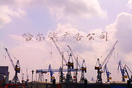 哈尔滨广告公司排名(12款啤酒测试：哈尔滨、珠江等用料较“杂”；嘉士伯、青岛泡沫持久性垫底)