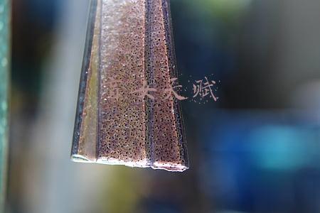 盲女天赋加点2022(2022年德塔文最值得期待新剧榜出炉，杨紫、肖战和鞠婧祎作品上榜)