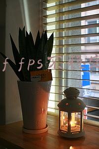 cffps不稳定是什么原因(CF如今已然没落，游戏缺陷越发明显，游戏卡顿究竟是为啥？)