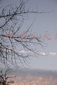 顺丰快递几天到货