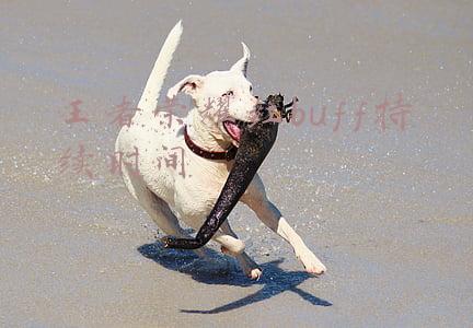 王者荣耀红buff持续时间