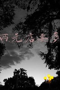 两元店开业促销手段-开两元店策划案