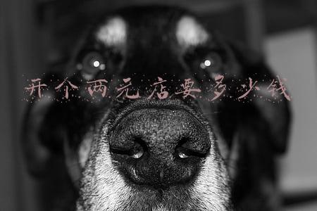 开个两元店要多少钱