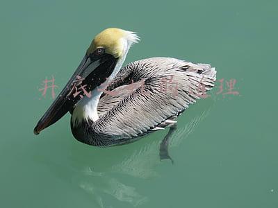 井底之蛙的道理