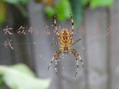 大众cc换个电瓶多少钱《大众cc换电池多少钱》