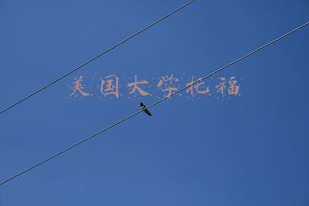 美国大学托福