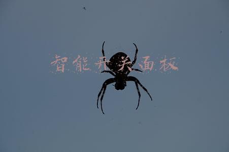 智能开关面板十大知名品牌(开关插座十大品牌排名 开关插座选购技巧)