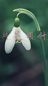 渲染图片是用什么软件