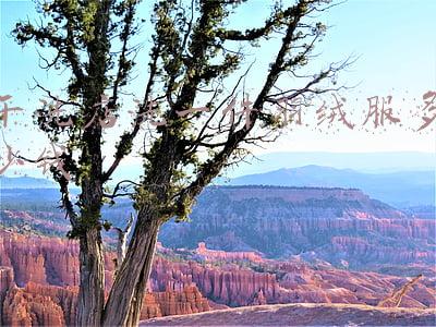 白色羽绒服可以干洗店洗吗_羽绒服可以干洗店洗吗