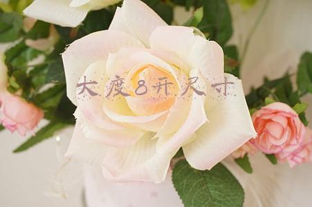 大度8开尺寸