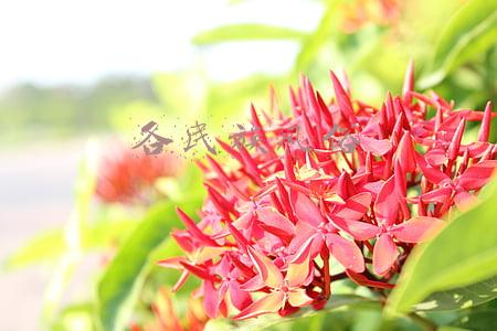 各民族风俗