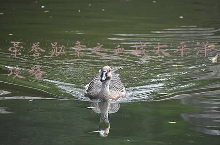荣誉勋章 血战太平洋(福利又来啦！正版《荣誉勋章：血战太平洋》免费送)