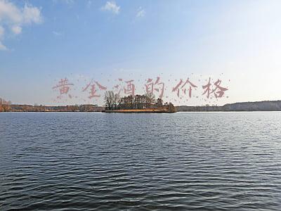 黄金酒的价格