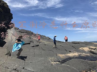 冰箱不制冷是什么原因 灯会亮(冰箱有水流声但不制冷是怎么回事)