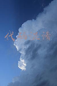 代码混淆原理(混淆程序：代码最安全的加密方式)