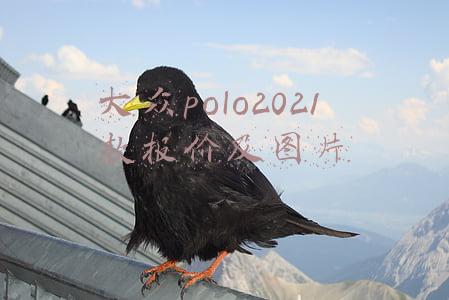 大众polo2022款报价及图片(2022款大众POLO亮相！全新运动外观或不足十万，搭1.5T还看啥飞度)