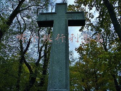 哪个银行利息高