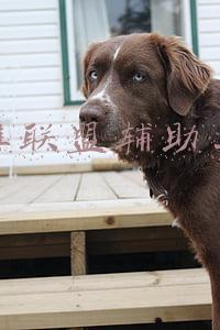 英雄联盟辅助工具