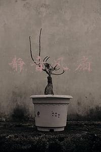 机柜静音风扇(为什么机柜要配风扇？机柜安装风扇需要注意什么？)