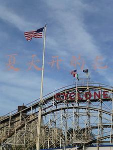 夏天开的花