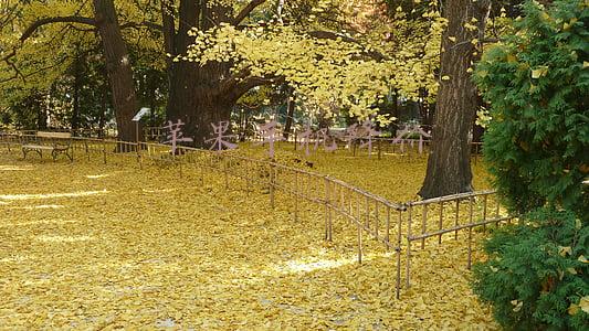 苹果手机降价