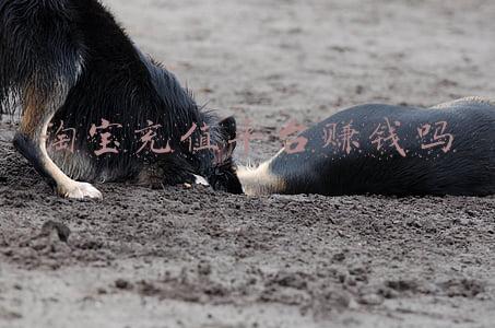 淘宝游戏充值靠谱吗(网游账号买卖风险高，小心别往“坑”里跳)