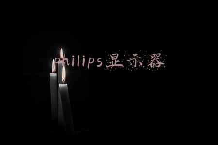 philips显示器