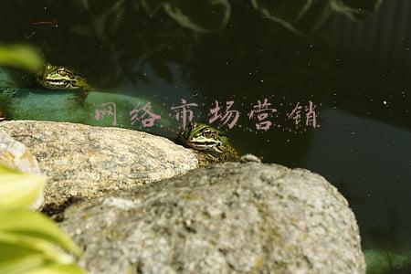 网络市场营销