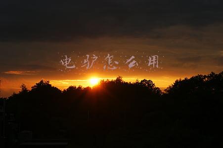 电驴怎么用