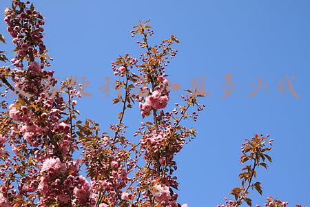 友客加盟费及加盟条件_友客加盟费