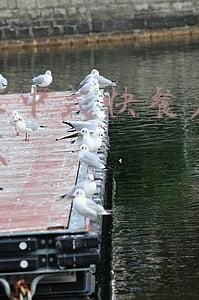 中式快餐店投资多少钱：中式快餐店
