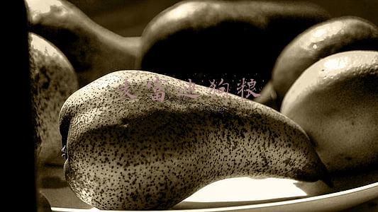 麦富迪狗粮