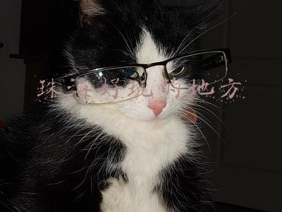 珠海好玩的地方