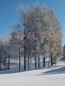 珠海好玩的地方