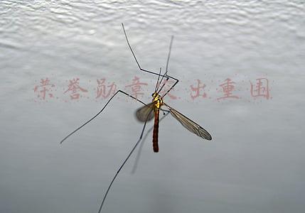 荣誉勋章突出重围