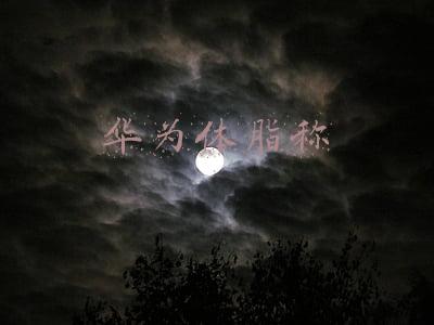 华为体脂秤怎么连接手机(不用蓝牙也能连手机，购入华为智能体脂秤3)