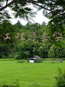 软件工程师要学哪些
