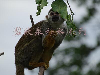碧欧泉补水系列